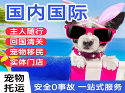 伊金霍洛机场快运国际宠物托运 【国